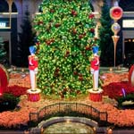Bellagio's Christmas Botanical Gardens Displays
