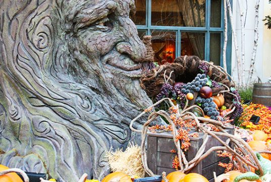 Bellagio Conservatory