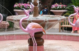 The Flamingo Wildlife Habitat