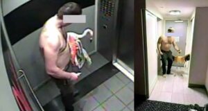 Flamingo Tourtered in LaVegas