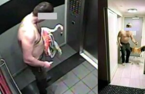 Flamingo Tourtered in LaVegas