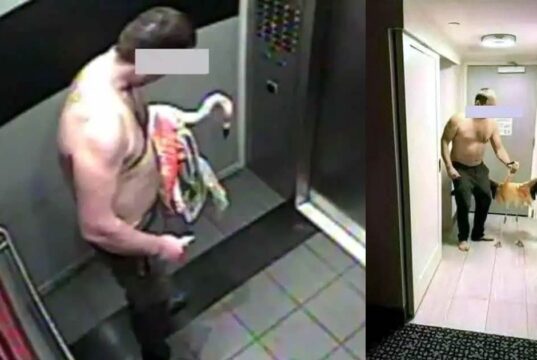 Flamingo Tourtered in LaVegas