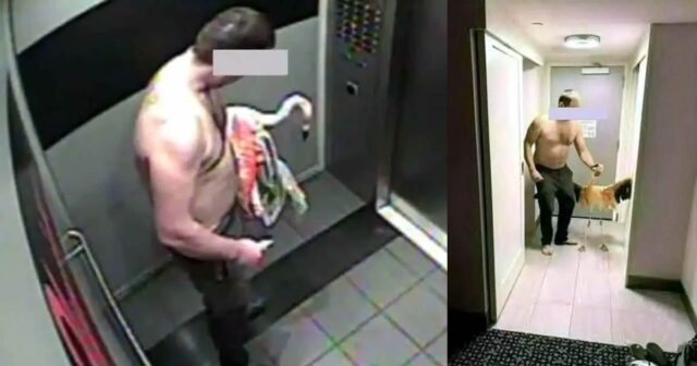 Flamingo Tourtered in LaVegas