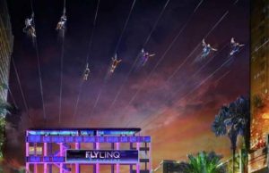 Fly LINQ Zip Lines