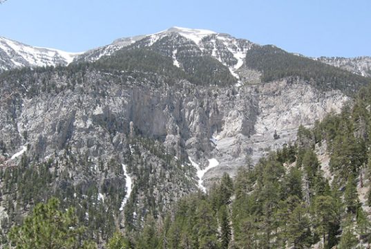 Mt. Charleston in Nevada